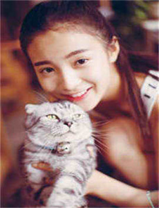 车里从后面猛地挺身沉腰,英雄归来3英雄无归迅雷下载