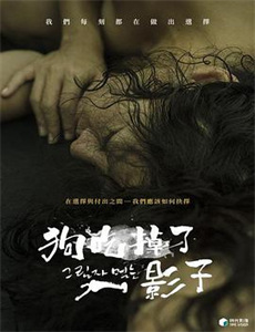 自然世界:海獭的百万宝贝