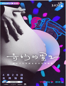 年度综艺咖邓超