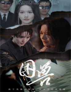 GT赛车:极速狂飙