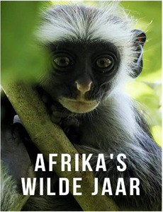 煤工歌手冈德曼