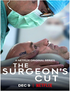 保险公司的畜牧女